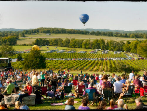 Arrington Vineyards hot air balloons