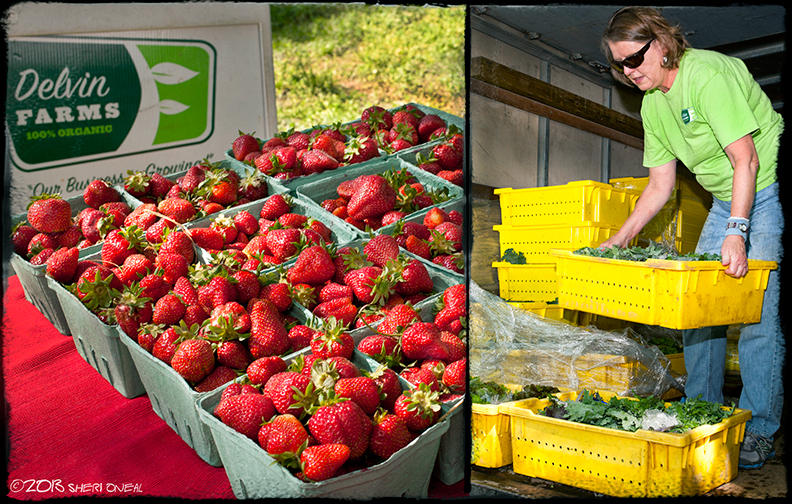 Nashville Loves Food, Delvin Farms, Strawberries