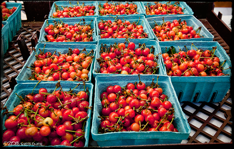 Cherries, Hip Donelson Farmers Market
