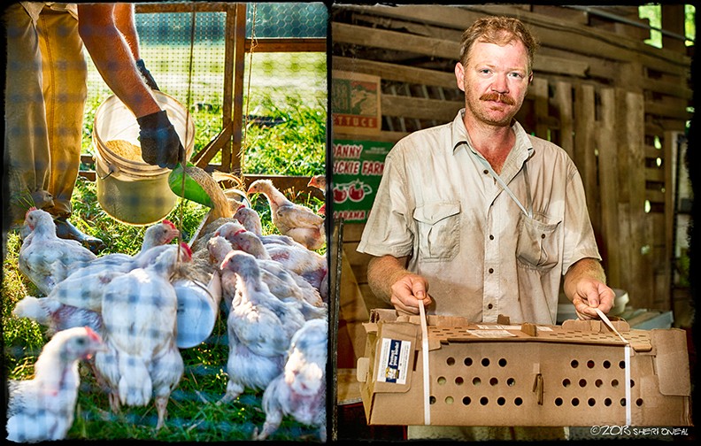 Wedge Oak Farm man with chickens
