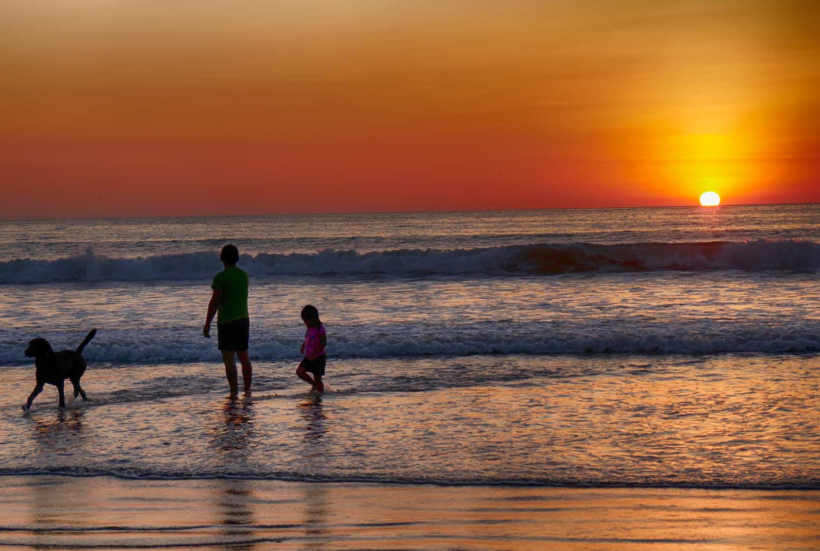 father his child and dog walking in the surf along beach at sunset in Puerto Lopez Ecuador