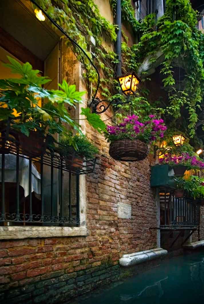 green plants and purple flowers hang from outside patios along a canal in Venice Italy