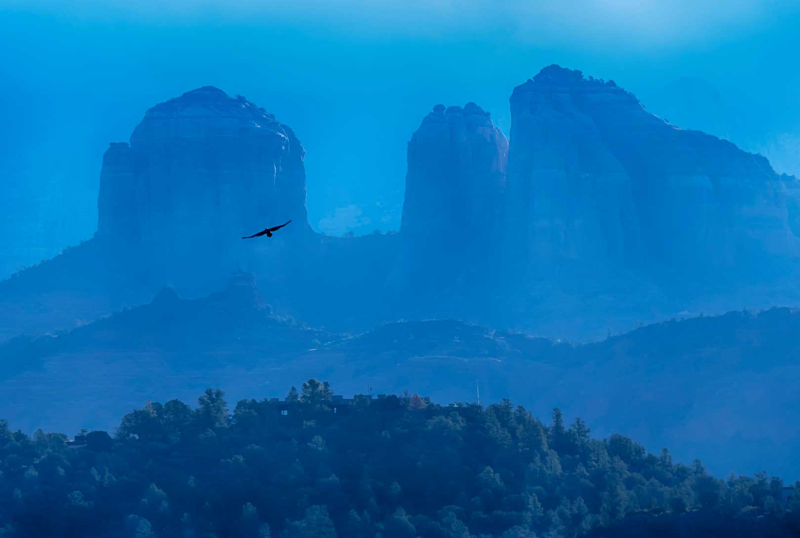 A Bird Flying In The Foreground Of The Red Rocks Of Sedona