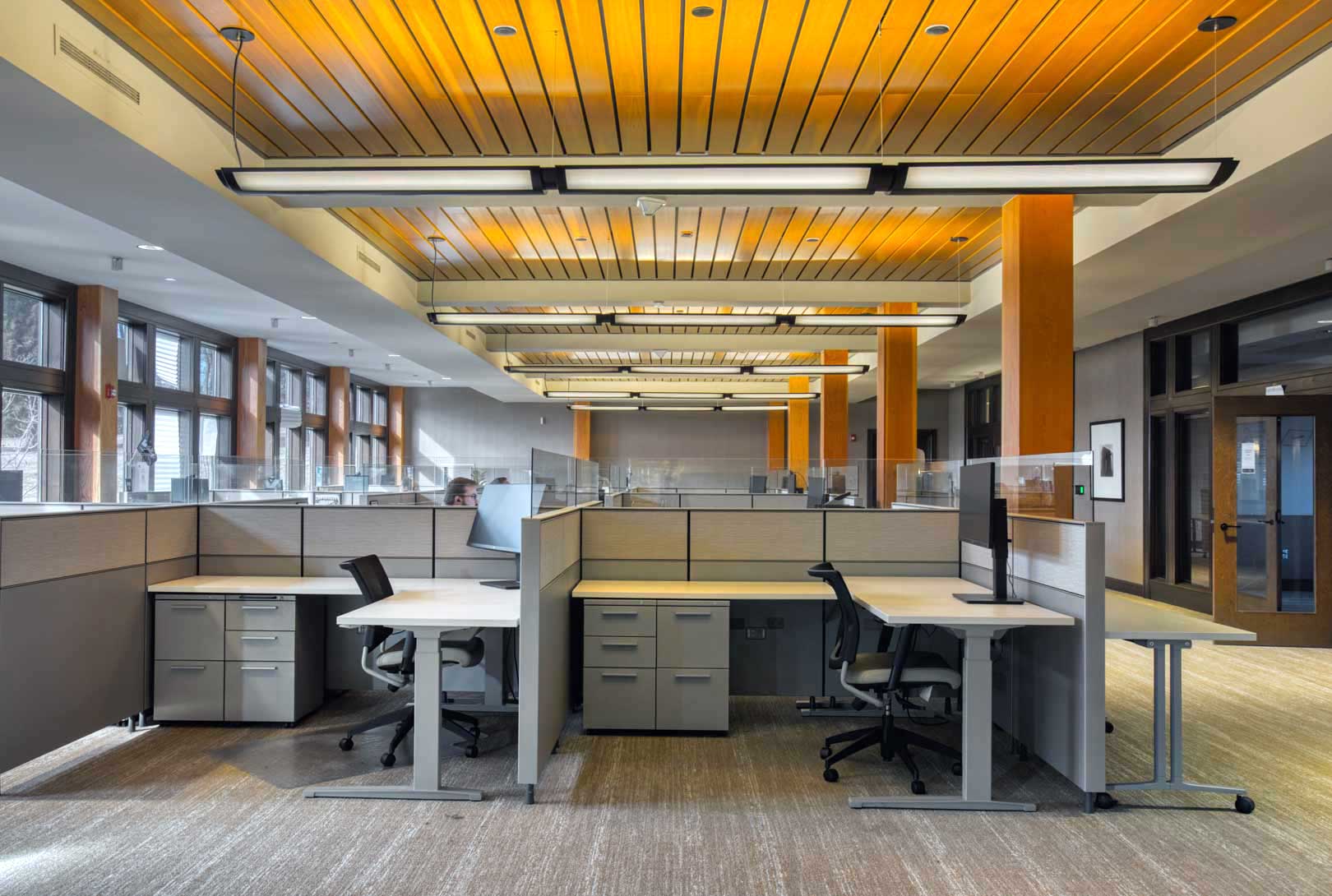 A modern office space with individual desk cubicles surrounded by windows and wooden plank ceilings