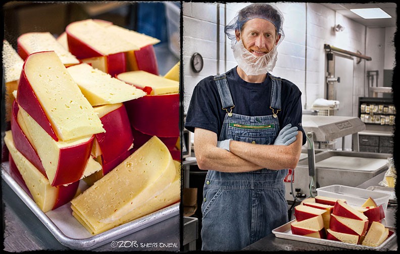 Kenny's Farmhouse Cheese, speciality cheese, farms, dairy